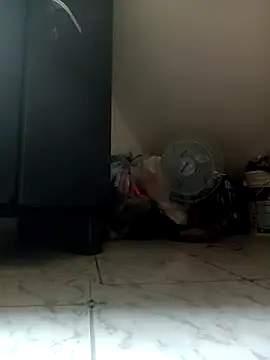 payalchola online show from 04-04-26, 01:34