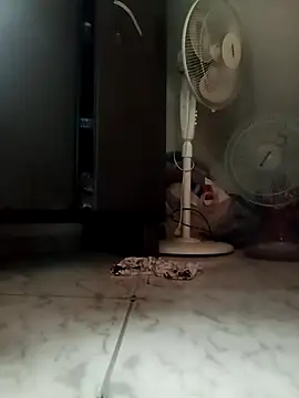 payalchola online show from 03-14-26, 07:25