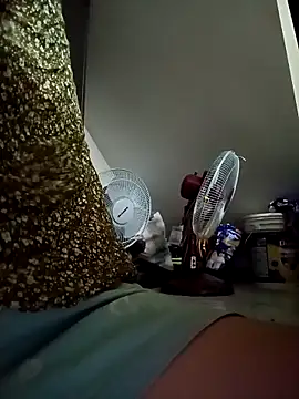 payalchola online show from 04-15-26, 04:55