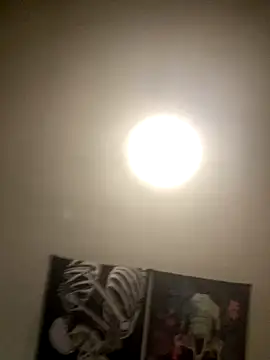 1Zoey101 online show from 11-05-25, 04:37