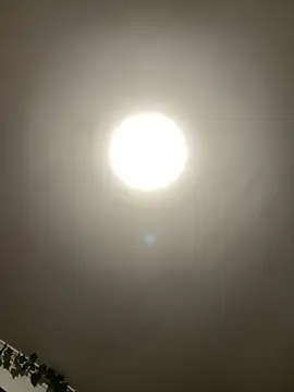 1Zoey101 online show from 04-05-26, 05:52