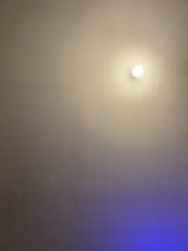 1Zoey101 online show from 03-02-26, 07:21