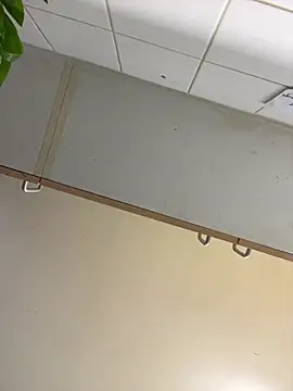 1Zoey101 online show from 03-19-26, 04:56