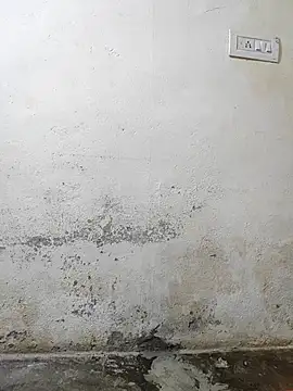 pallu telgu kannada online show from 03-04-26, 05:31