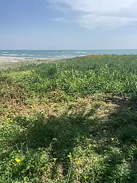 Snapshot of Smallcoco26 chatting on 03-07-25, 09:40 Smallcoco26 online show from 03-07-25, 09:40