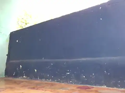 Ladyzee25 online show from 11-29-25, 04:29