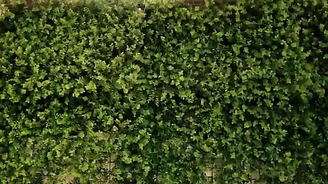 Snapshot of _little_blake chatting on 10-16-25, 10:01  little blake online show from 10-16-25, 10:01