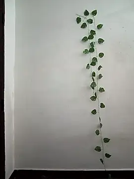 Neha-Bhabhi-Rasily online show from 03-24-26, 03:50