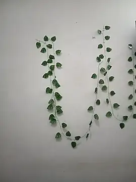 Neha-Bhabhi-Rasily online show from 04-07-26, 11:34