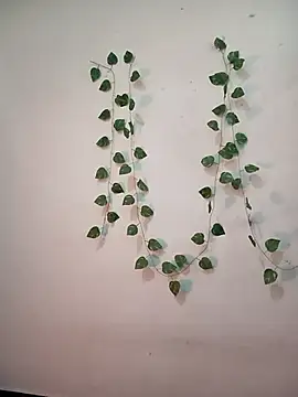 Neha-Bhabhi-Rasily online show from 02-10-26, 04:44