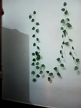 Neha-Bhabhi-Rasily online show from 02-17-26, 07:11