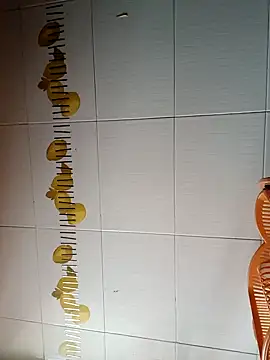 BellyDancer1 online show from 10-29-25, 08:35