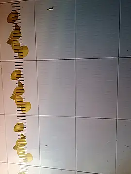 BellyDancer1 online show from 10-16-25, 09:28