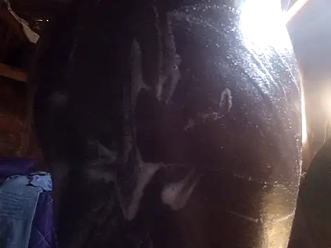 Snapshot of Smart24 chatting on 09-15-25, 09:43 Smart24 online show from 09-15-25, 09:43