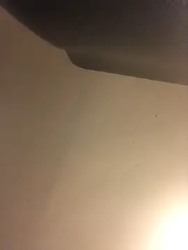 Snapshot of Donnydon79 chatting on 03-04-25, 11:32 Donnydon79 online show from 03-04-25, 11:32