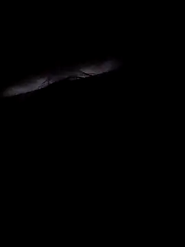 Lunababexoxo online show from 03-03-25, 06:52