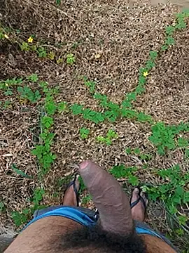 paugrosso553 online show from 09-22-25, 11:49