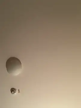 Saysay-7 online show from 11-20-25, 11:25