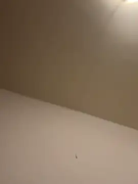 chrisssssss24 online show from 11-21-25, 01:10