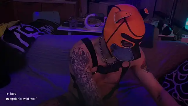 danix wild wolf online show from 03-15-26, 10:50