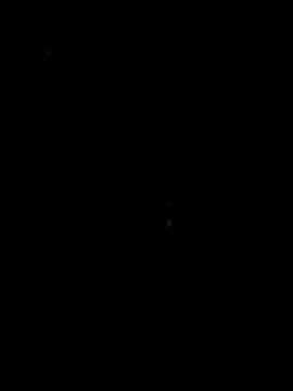 papicook online show from 05-06-26, 04:38