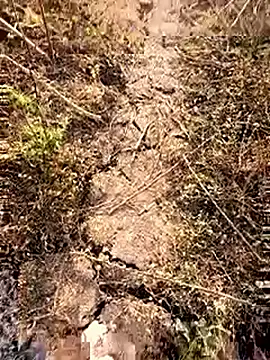 himvilohi08 online show from 02-28-26, 03:17