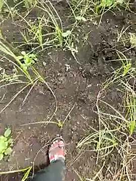 himvilohi08 online show from 10-01-25, 05:34