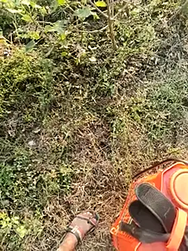 himvilohi08 online show from 01-10-26, 10:54