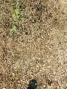 himvilohi08 online show from 03-24-26, 11:54