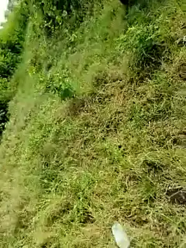 himvilohi08 online show from 10-06-25, 04:13