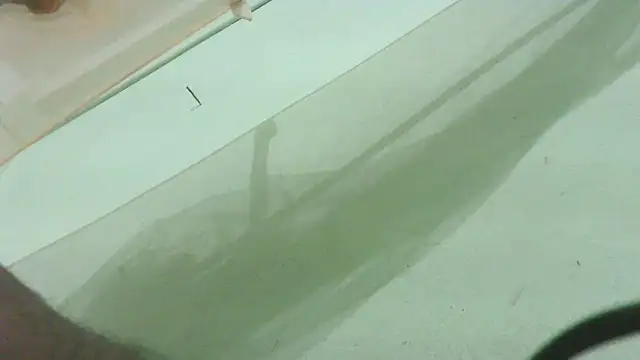 CrazyMove83 online show from 02-25-26, 12:05