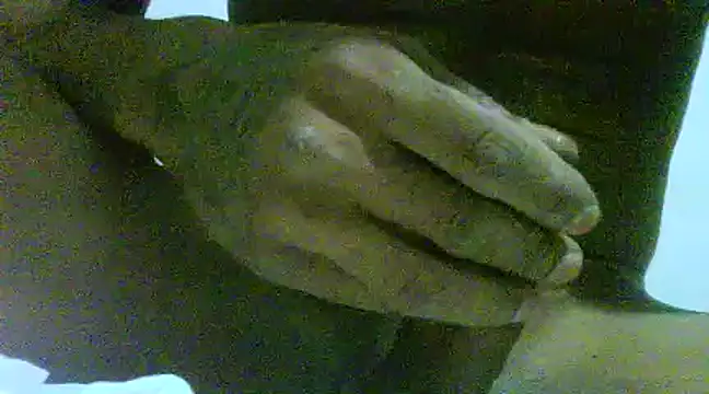 Snapshot of javier0990 chatting on 03-14-25, 08:32 javier0990 online show from 03-14-25, 08:32