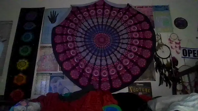 Snapshot of GardeniaFields chatting on 03-02-26, 09:16 GardeniaFields online show from 03-02-26, 09:16