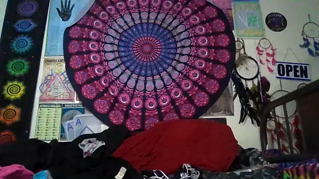 Snapshot of GardeniaFields chatting on 02-22-26, 08:28 GardeniaFields online show from 02-22-26, 08:28