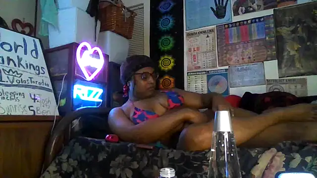 GardeniaFields online show from 10-02-25, 08:50