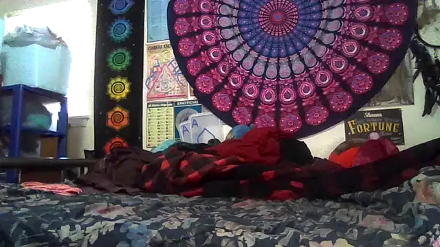 Snapshot of GardeniaFields chatting on 02-22-26, 08:43 GardeniaFields online show from 02-22-26, 08:43