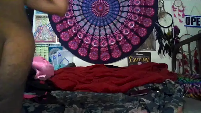 GardeniaFields online show from 03-08-26, 09:56