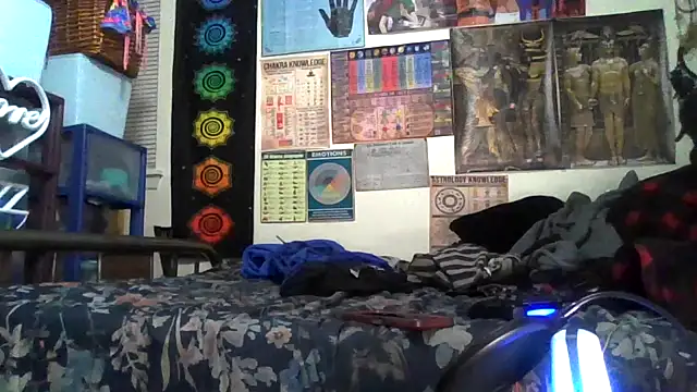 GardeniaFields online show from 11-04-25, 08:18