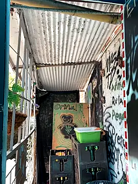 val zx online show from 10-02-25, 04:21