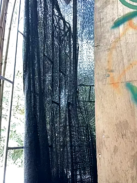 val zx online show from 09-10-25, 06:29