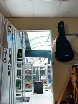 val zx online show from 09-11-25, 04:18