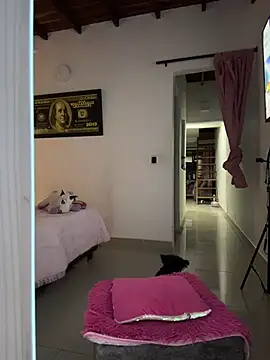 Paulet Johnson online show from 01-18-26, 01:31