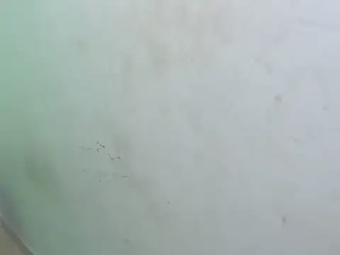 dirty megan22 online show from 03-23-25, 02:59