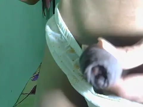 Snapshot of SIHUMISEXY chatting on 03-08-26, 06:22 SIHUMISEXY online show from 03-08-26, 06:22