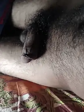 Mr skywalker online show from 03-28-26, 11:33