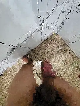 Pauloosil online show from 03-12-25, 01:51