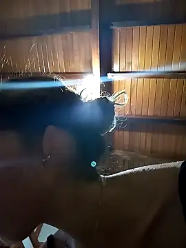 Sexi girl29 online show from 11-01-25, 09:41