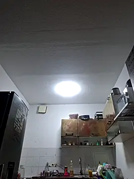 Snapshot of ThePython666 chatting on 11-08-25, 06:44 ThePython666 online show from 11-08-25, 06:44