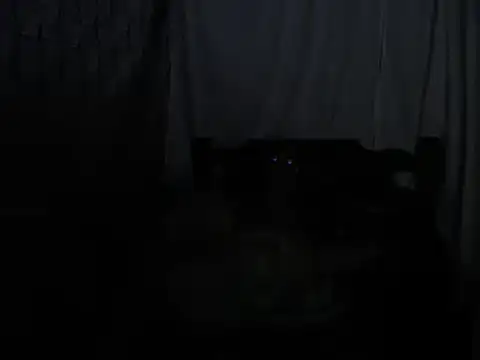 SHARONYJQVI online show from 03-22-25, 05:39