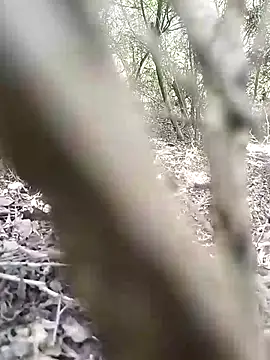 CertifiedSatisfier online show from 11-12-25, 10:41